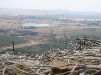 My Taglit-Birthright Israel experience: 'Outing' myself on a kibbutz